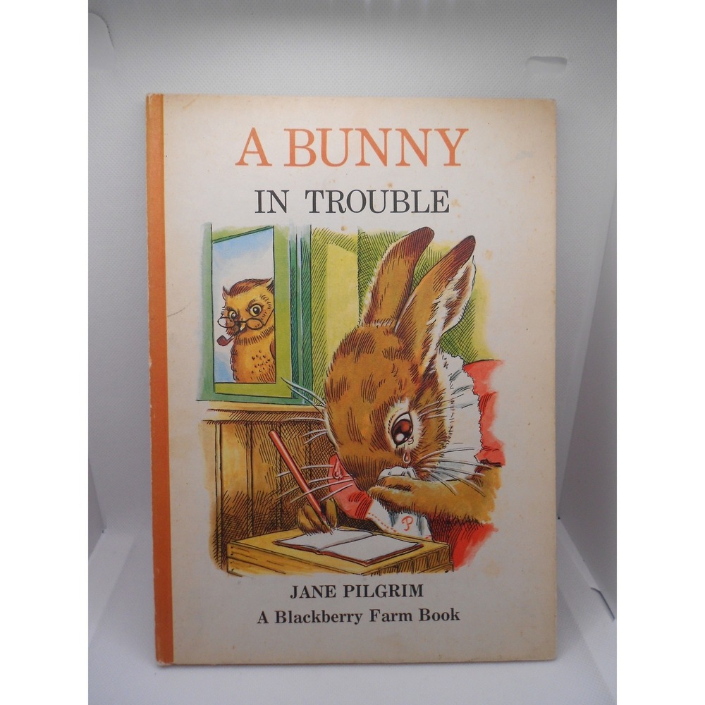 A Bunny in Trouble Jane Pilgrimโ Blackberry Farm Book 1973 Vintage Potato Press
